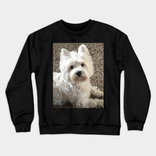 Westie Crewneck Sweatshirt